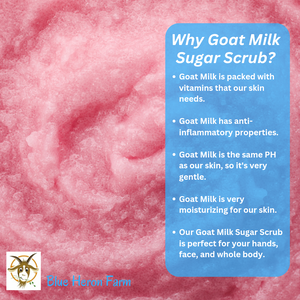 Candy Cane Marshmallow Goat Milk Whipped Sugar Scrub