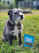 Load image into Gallery viewer, Farm Dog Treats