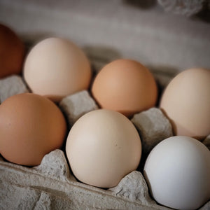 Farm Fresh Eggs